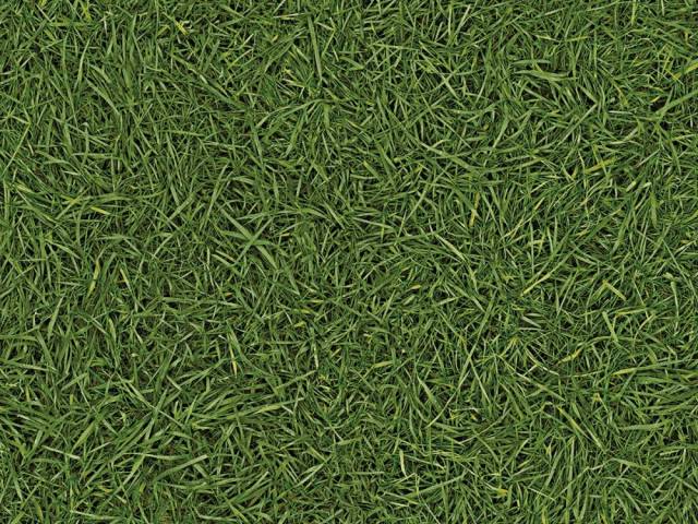 Линолеум бытовой SMART NEO Дизайн - GRASS 25 4.0 м - 1